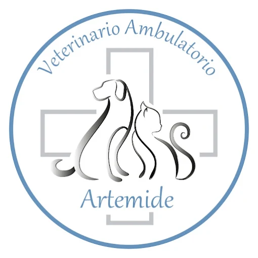 Artemide Ambulatorio Veterinario – torna all'inizio